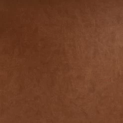 2pk Bowden Dining Chair With Arms Caramel Faux Leather - Project 62™ 12 2pk Bowden Dining Chair With Arms Caramel Faux Leather - Project 62™ -Project 62 Shop GUEST 02f52629 0188 4088 8b4c 5ef15f70b457