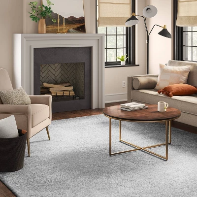 Eyelash Woven Shag Rug - Project 62 3 Eyelash Woven Shag Rug - Project 62