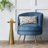 Beadle Accent Chair With Brass Leg Velvet Blue - Project 62™ 1 Beadle Accent Chair With Brass Leg Velvet Blue - Project 62™ -Project 62 Shop GUEST 8ccbf5b0 9e09 4135 98bb 0abf3c1d375e